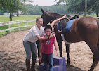 Images Star Ridge Stables