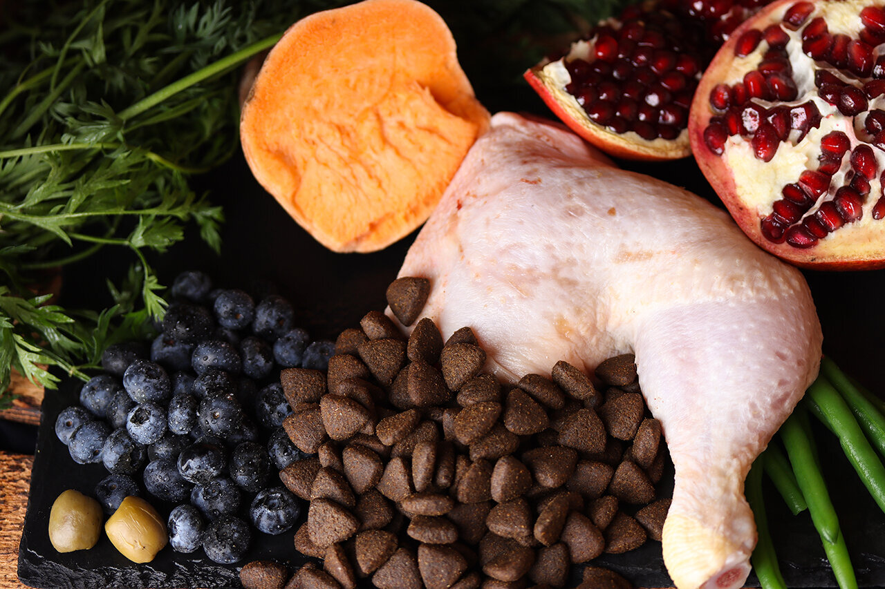 Bilder Green Pet Shop