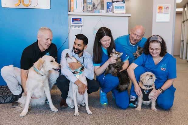 Images PetVet365 Pet Hospital Aurora