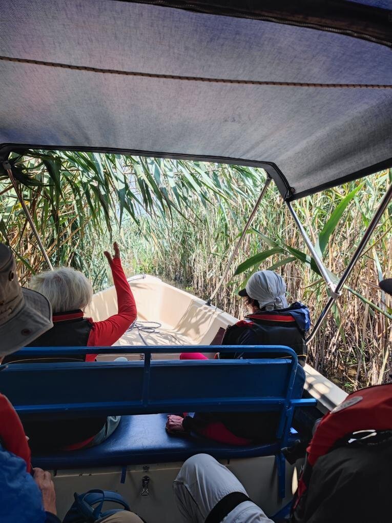 Fratello Tours in Nürnberg