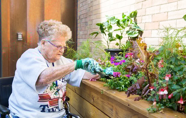 Images Willows of Ramsey Hill