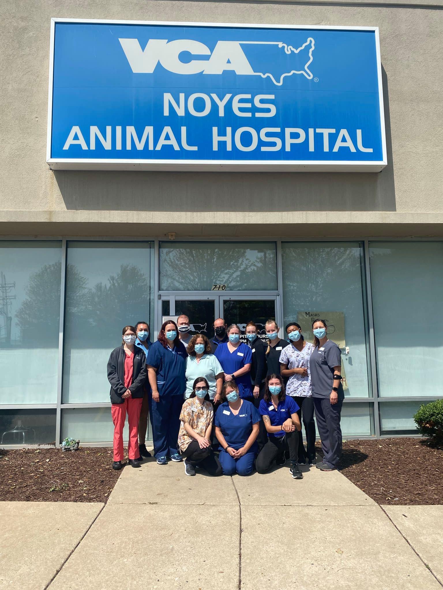 Image 2 | VCA Noyes Animal Hospital