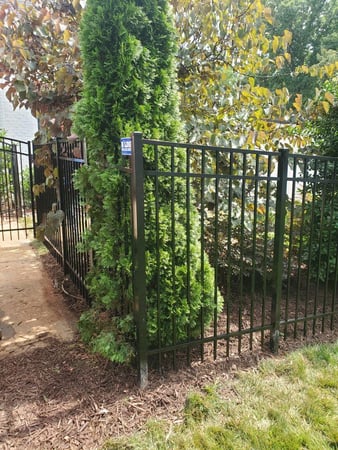 Images B Line Fencing & Services