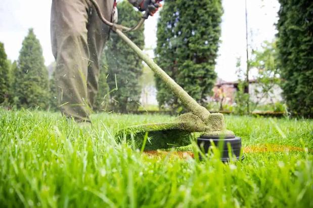 Images Mowing R Us