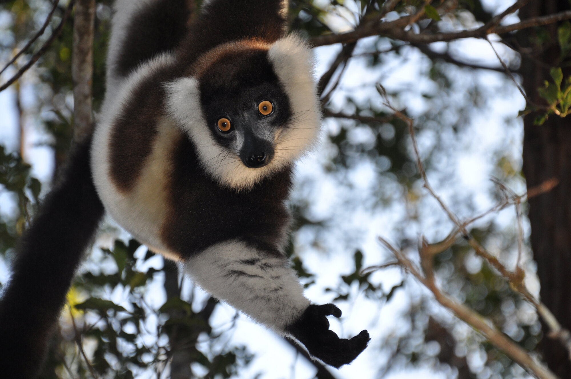 Go n joy Africa, Hönower Straße 35 in Berlin