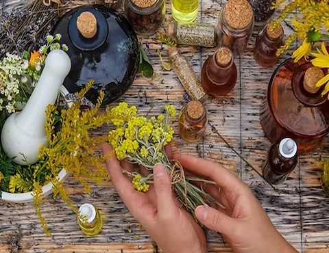 Your Homeopath 5