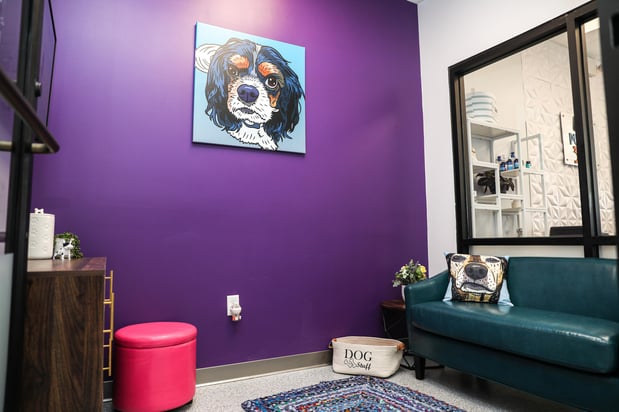Images PetVet365 Pet Hospital Denver - Highlands Ranch
