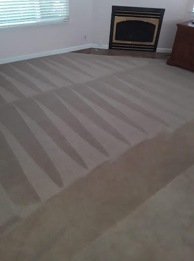 Images Amazing Carpet Cleaning & More!