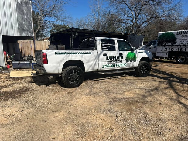Images Luna's Tree Service
