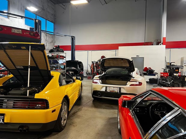 Images Loudoun County Exotics