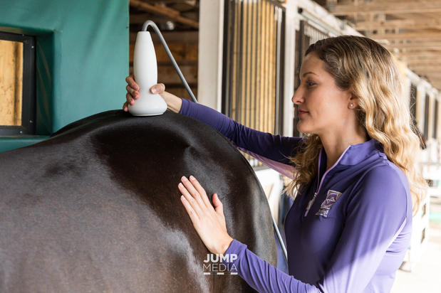 Images Palm Beach Equine Clinic