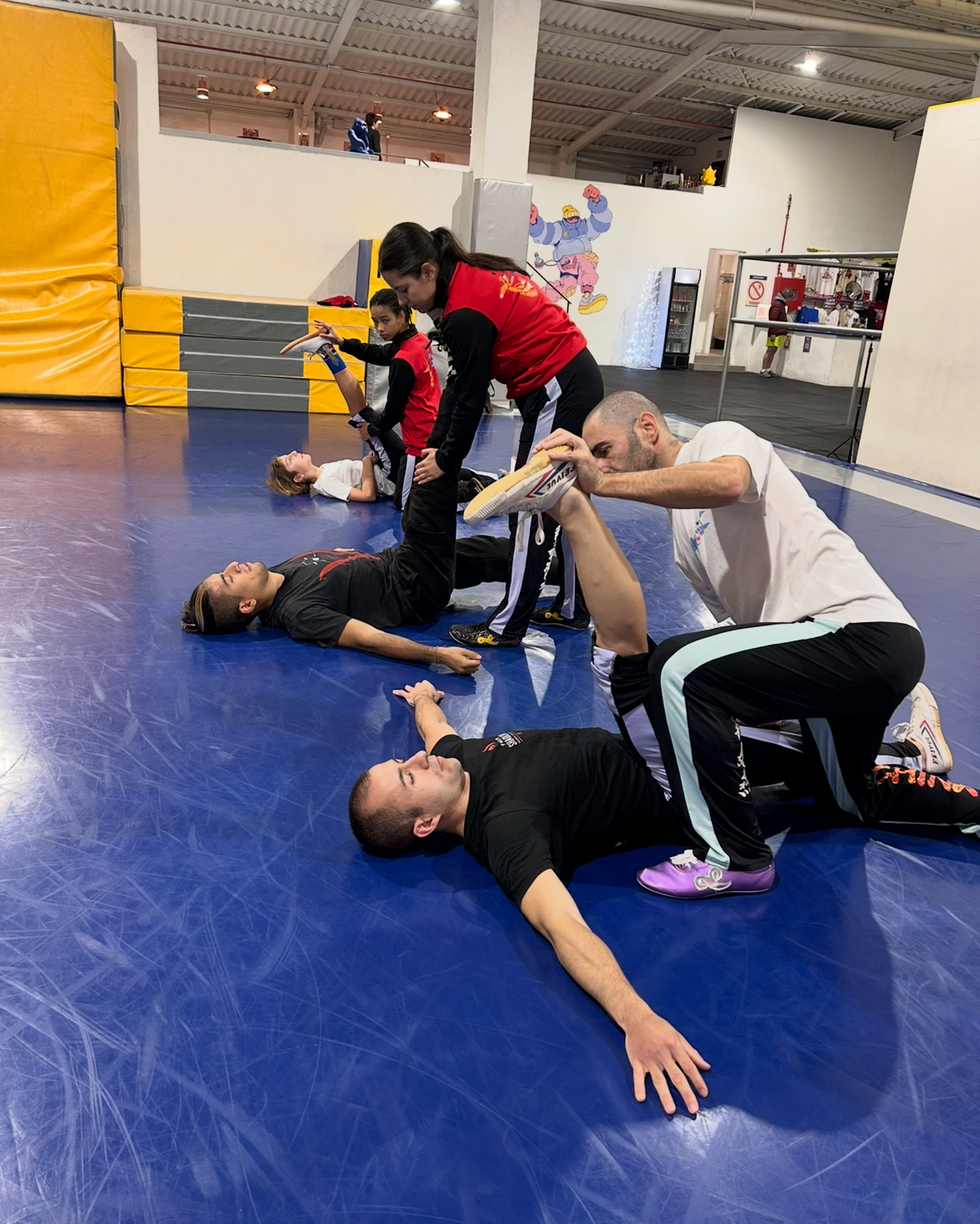 Images Escuela De Wushu/kung Fu Jingwu