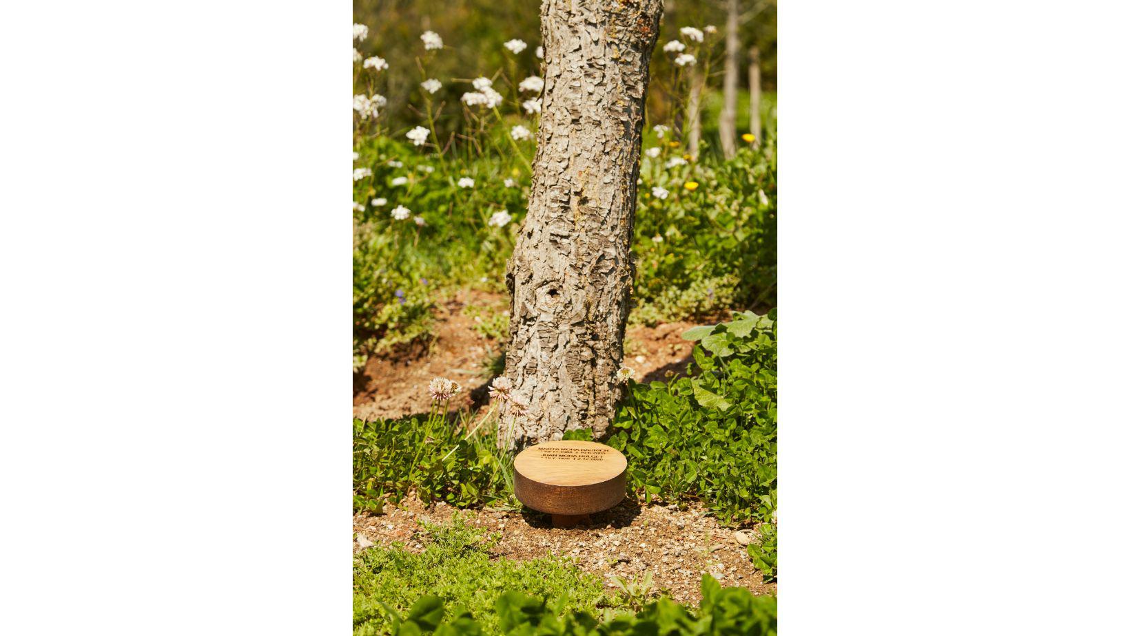 Cementiri Comarcal Roques Blanques 52