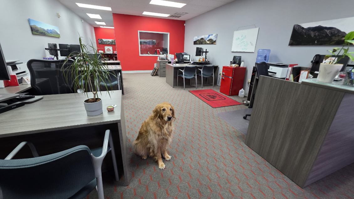 Our office and help teach you and your family about the importance of Life Insurance. Lakewood