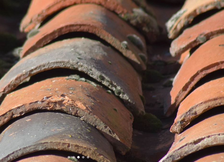 Rindlisbacher Bedachungen, Bahnhofstrasse 22 in Ermatingen