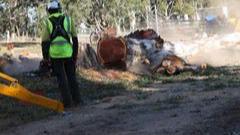 Images Regal Trees Pty Ltd