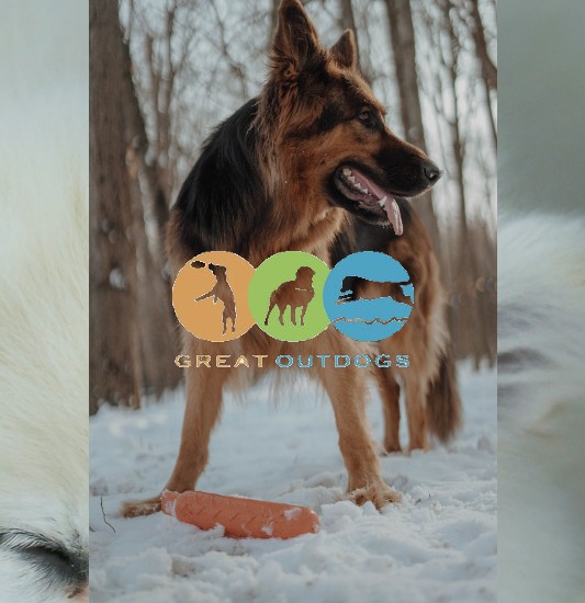 Images Great Outdogs