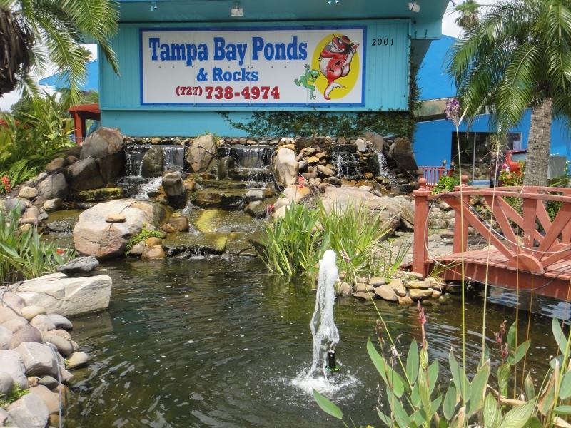 Images Tampa Bay Ponds & Rocks