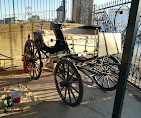 Images Son Vivot