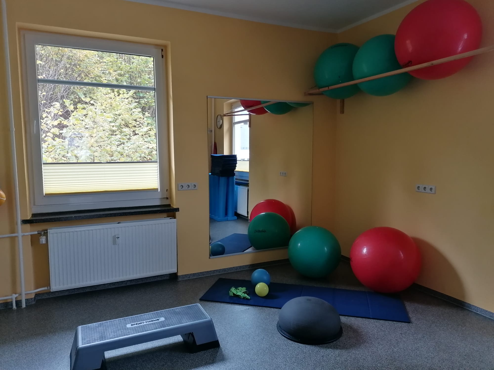 Praxis für Physiotherapie Sylvia Riemer, Altenberger Str. 19 in Glashütte