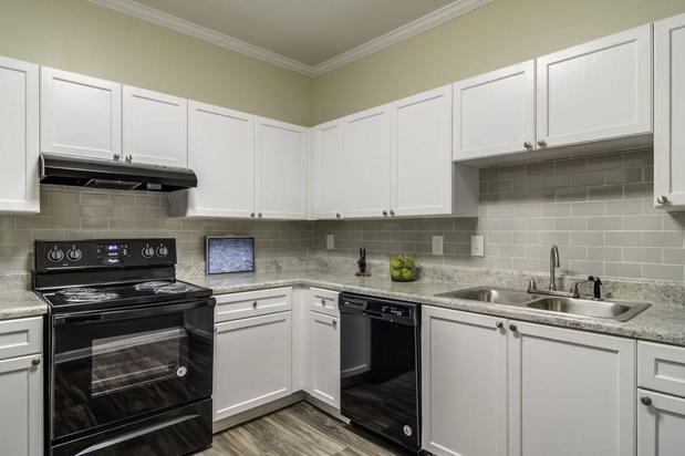 Images Evergreen Terrace