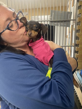 Images VCA Baring Boulevard Animal Hospital