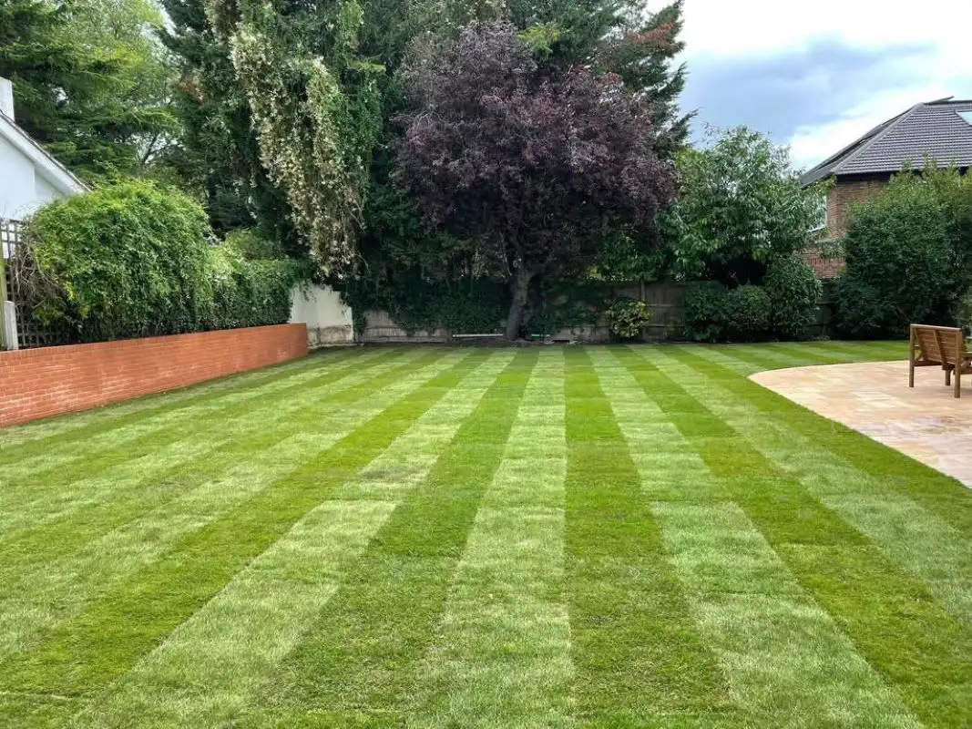 Images Excellent Landscapers Ltd