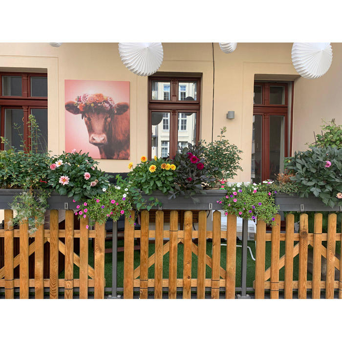 martin haugwitz Kreativstudio, Josephinenstraße 17 in Leipzig