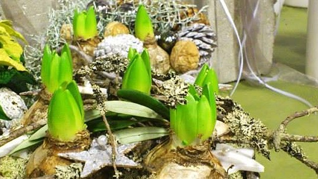 Images Blomsterateljén i Örnsköldsvik AB