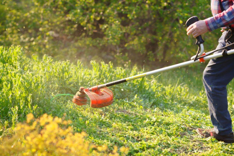 Images Premium Cut Lawns