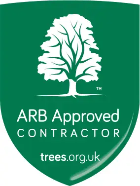 Images Mighty Oaks Tree Solutions Ltd