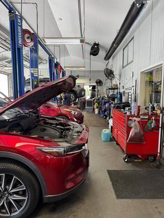 Images Chapel Hill Tire - Carrboro