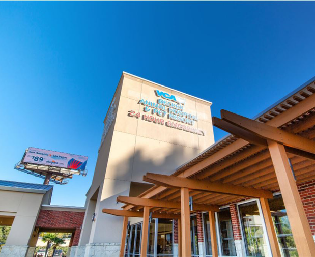 Images VCA Becker Animal Hospital and Pet Resort