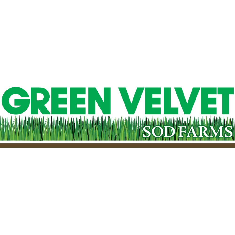 Green Velvet Sod Farms