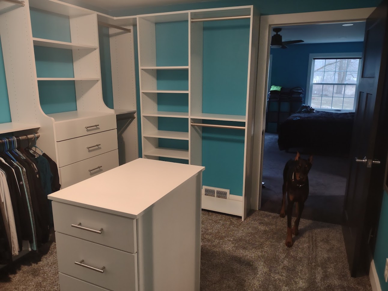 A puppy approved custom walk in/ walk through  closet!