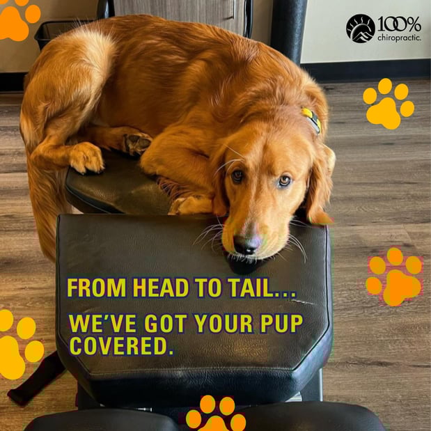 Images 100% Chiropractic - Jackson Township