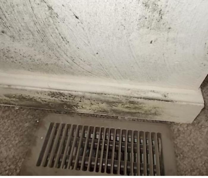 When water floods basements and crawl spaces the water can enter the heat and air conditioning air ducts that run under the floor. Moisture inside the air supply ducts can become a breeding ground for mold and bacteria as has the one in our photo. SERVPRO always checks the conditions of HVAC ducting during our inspections.
