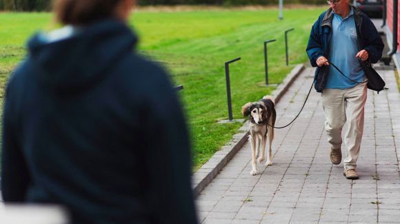 Images Koira-Kissaklinikka Oy