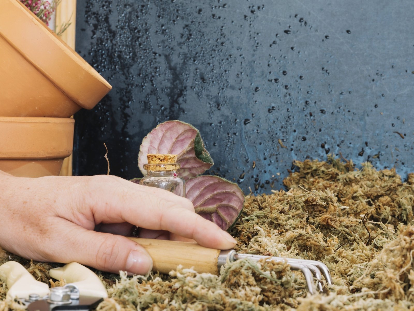 Braman Termite & Pest