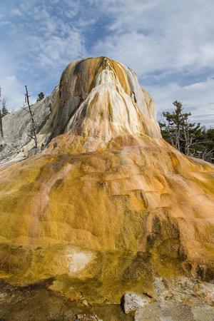 Images Experience Yellowstone Tours