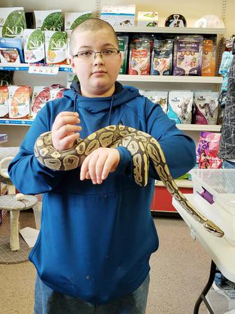 Images Paws Inn Pet Essentials