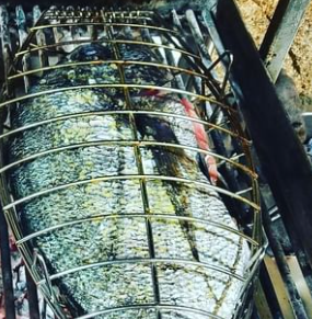 Granxa Do Costado Asador