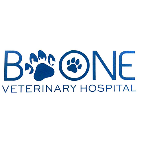 Boone Veterinary Hospital Logo
