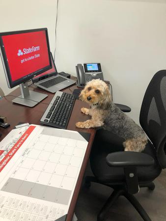 Images Linda Rodriguez - State Farm Insurance Agent