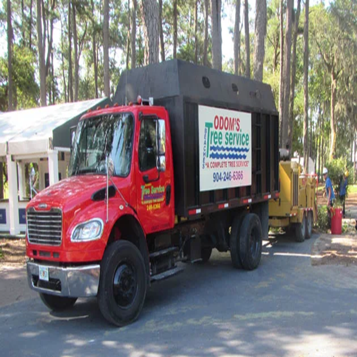 Images Odoms Beaches Tree Service
