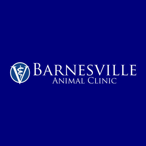 Barnesville Animal Clinic Logo