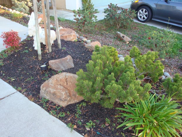 Images Mackenzie  Landscape Gardening LLC
