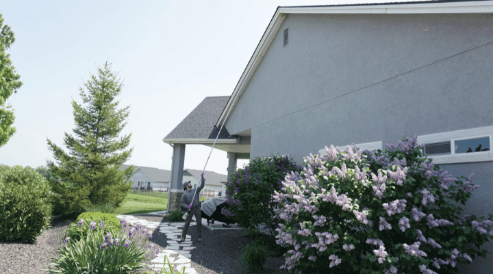 Images TriGuard Pest Control