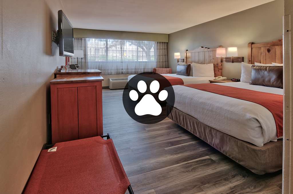 Two Queen Room Dog Friendly