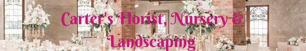Images Carter's Florist, Nursery & Landscaping